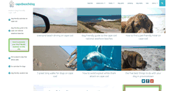 Desktop Screenshot of capebeachdog.com